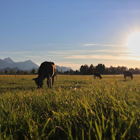 Gaestehaus Koepf Füssen Buitenkant foto