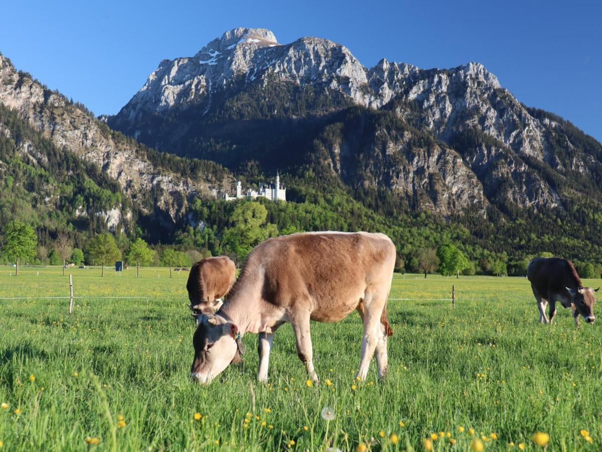 Gaestehaus Koepf Füssen Buitenkant foto